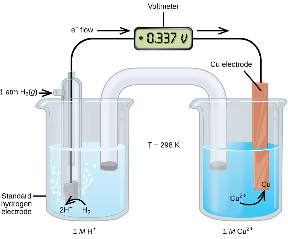 This figure contains a diagram of an electrochemical cell. Two beakers are shown. Each is just over half full. The beaker on the left contains a clear, colorless solution and is labeled below as “1 M H superscript plus.” The beaker on the right contains a blue solution and is labeled below as “1 M C u superscript 2 plus.” A glass tube in the shape of an inverted U connects the two beakers at the center of the diagram. The tube contents are colorless. The ends of the tubes are beneath the surface of the solutions in the beakers and a small graylug is present at each end of the tube. The beaker on the left has a glass tube partially submersed in the liquid. Bubbles are rising from the gray square, labeled “Standard hydrogen electrode” at the bottom of the tube. A curved arrow points up to the right, indicating the direction of the bubbles. A black wire extends from the gray square up the interior of the tube through a small port at the top to a rectangle with a digital readout of “positive 0.337 V,” which is labeled “Voltmeter.” A second small port extends out the top of the tube to the left. An arrow points to the port opening from the left. The base of this arrow is labeled “1 a t m H subscript 2 ( g ).” The beaker on the right has an orange-brown strip that is labeled “C u electrode” at the top. A wire extends from the top of this strip to the voltmeter. An arrow points toward the voltmeter from the left which is labeled “e superscript negative flow.” Similarly, an arrow points away from the voltmeter to the right. A curved arrow extends from the surrounding solution to the standard hydrogen electrode in the beaker. The end of the arrow is labeled “H subscript 2” and tip of this arrow is labeled “2 H superscript plus.” A curved arrow extends from the “C u superscript 2 plus” label in the solution to a “C u” label at the lower edge of the C u electrode. Between the two beakers is the label “T equals 298 K.”
