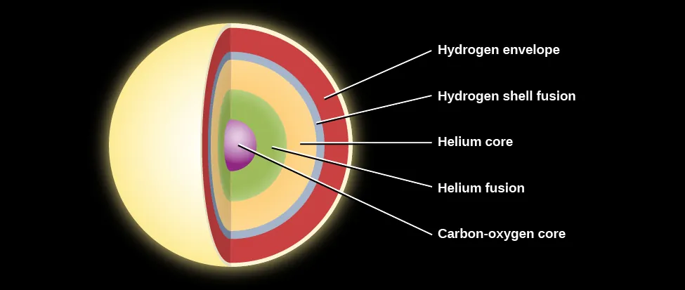 Layers inside a Low-mass Star before Death. The layers within the core are shown as concentric circles of various colors. Starting at the center are: “Carbon-oxygen core” in purple, “Helium fusion” in green, “Helium core” in yellow, and the “Hydrogen shell fusion” layer in teal. The cooler “Hydrogen envelope” is shown in orange.