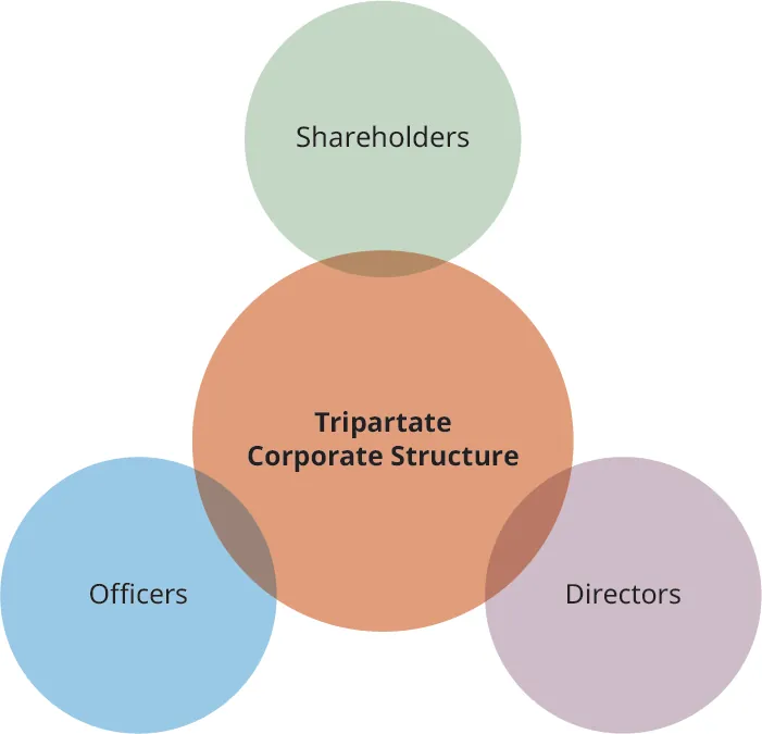 Cartoon with Tripartate Corporate Structure in a central circle. There is a partially overlapping circle at the top (Shareholders),another partially overlapping circle at the bottom right (Directors), and another partially overlapping circle at the bottom left (Officers).