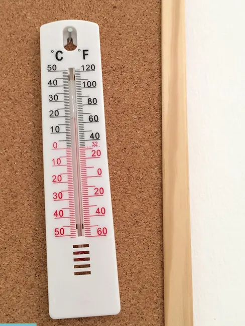 A close-up view of a thermometer shows 19 degrees Celsius and 66 degrees Fahrenheit. The thermometer is positioned near a plant.
