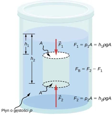 Ilustracja przedstawia schematyczny rysunek cylindra wypełnionego płynem, który jest otwarty z jednej strony na działanie ciśnienia atmosferycznego. Wyimaginowany obiekt o polu powierzchni A, która jest mniejsza niż pole powierzchni przekroju cylindra, jest zanurzony w płynie. Odległość pomiędzy powierzchnią płynu a górną częścią obiektu wynosi h1. Odległość pomiędzy powierzchnią płynu a podstawą obiektu wynosi h2. Siły F1 i F2 są przyłożone odpowiednio do górnej i dolnej części obiektu.