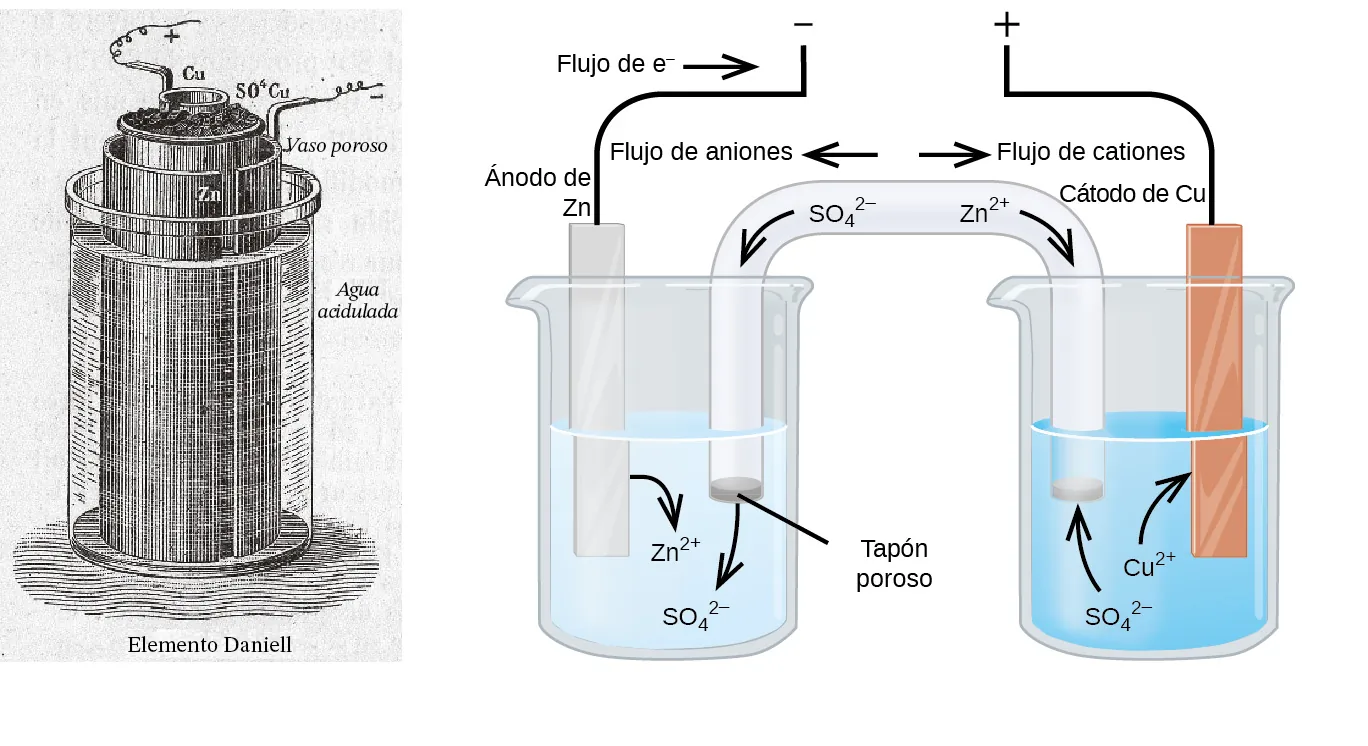 Esta figura contiene el dibujo de una patente de una celda electroquímica a la izquierda marcada como Elemento Daniell y un diagrama de una celda electroquímica a la derecha. En el diagrama se muestran dos vasos de precipitados. Cada uno de ellos se encuentra a poco más de la mitad de su capacidad. El vaso de la izquierda contiene una solución azul. El vaso de la derecha contiene una solución incolora. Un tubo de vidrio en forma de U invertida conecta los dos vasos de precipitados en el centro del diagrama. El contenido del tubo es incoloro. Los extremos de los tubos están por debajo de la superficie de las soluciones en los vasos de precipitados y hay un pequeño tapón gris en cada extremo del tubo. El tapón del vaso de precipitados de la izquierda está marcado como "Tapón poroso". Cada vaso de precipitados muestra una tira metálica parcialmente sumergida en el líquido. El vaso de la izquierda tiene una tira de plata que está marcada como "Ánodo Z n" en la parte superior. El vaso de precipitados de la derecha tiene una tira marrón anaranjada que está marcada como "Cátodo C u" en la parte superior. Un alambre se extiende hacia arriba y hacia el centro desde la parte superior de cada una de estas tiras antes de detenerse. El extremo del alambre izquierdo apunta a un signo negativo. El extremo del alambre derecho apunta a un signo positivo. Una flecha apunta hacia el cable de la izquierda que está marcado como "Flujo de e superíndice negativo". Una flecha curva se extiende desde la tira Z n hacia la solución circundante. La punta de esta flecha está marcada como "Z n superíndice 2 más". Una flecha curva se extiende desde el puente salino hacia el vaso de precipitados de la izquierda en la solución azul. La punta de esta flecha está marcada como "S O subíndice 4 superíndice 2 negativo". Una flecha curva se extiende desde la solución en el vaso de precipitados de la derecha hasta la tira C u. La base de esta flecha está marcada como "C u superíndice 2 más". Una flecha curva se extiende desde la solución incolora hasta el puente salino en el vaso de precipitados de la derecha. La base de esta flecha está marcada como "S O subíndice 4 superíndice 2 negativo". Justo a la derecha del centro del puente salino en el tubo se coloca una flecha en el puente salino que apunta hacia abajo y a la derecha. La base de esta flecha está marcada como "Z n superíndice 2 más". Justo encima de esta región del tubo aparece la marcación "Flujo de cationes". Justo a la izquierda del centro del puente salino en el tubo se coloca una flecha en el puente salino que apunta hacia abajo y hacia la izquierda. La base de esta flecha está marcada como "S O subíndice 4 superíndice 2 negativo". Justo encima de esta región del tubo aparece la marcación "Flujo de aniones".