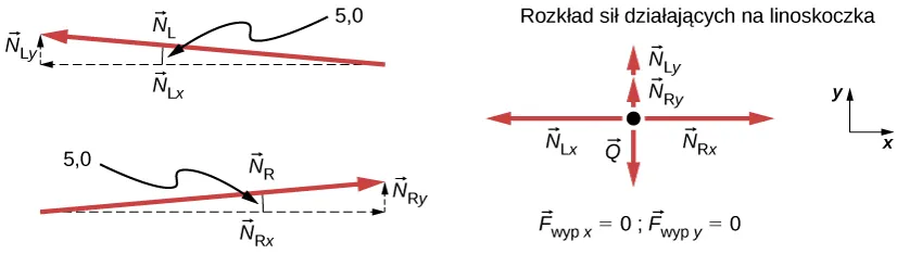 Mamy do czynienia z trzema osobnymi rysunkami. Na pierwszym z nich pokazano siłę NL skierowaną pod kątem 5 stopni do poziomu wraz jej składowymi NLx i NLy. Drugi z rysunków pokazuje podobną sytuację, lecz dla siły NR skierowanej w prawo również pod kątem 5 stopni do poziomu wraz z jej składowymi NRx i NRy. Trzeci z rysunków pokazuje rozkład sił działających na linoskoczka wzdłuż osi x i y układu współrzędnych. Siła ciężkości Q skierowana jest w dół i równoważy sumę sił NLy i NRy, skierowaną w górę. W kierunku poziomym y naniesiono dwie siły NLx i NRy, równoważące się, bo zwrócone przeciwnie do siebie.