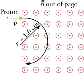 A proton dot enters a magnetic field perpendicularly, making a circular motion.