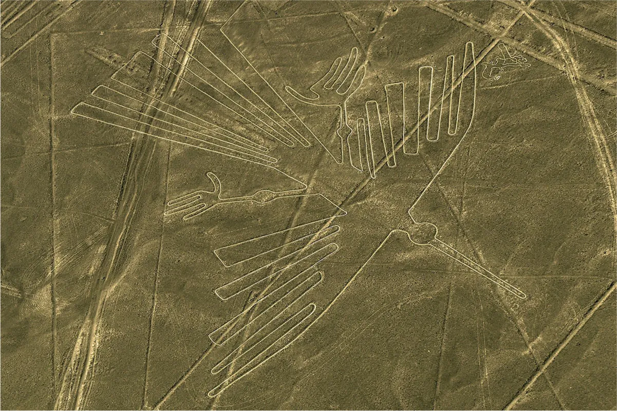 An aerial photo of a green field is shown with roads crisscrossing the entire image. A bird can be seen outlined in white lines with the long, thin, rounded beak pointing to the bottom right of the photo. The wings spread out on the sides, one claw is shown below each wing, and feathers come out the bottom of the image facing to the top left of the photo. No details are seen on the bird.