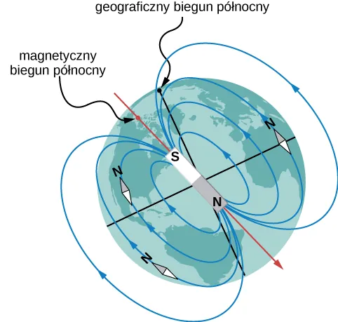 Ilustracja ziemskiego pola magnetycznego. Oś magnetyczna jest odchylona nieco od osi rotacji. Biegun modelowego magnesu w pobliżu geograficznego bieguna północnego jest biegunem południowym (S), ale ulokowanie osi magnetycznej na powierzchni północnej w pobliżu geograficznego bieguna jest nazywane Magnetycznym Biegunem Północnym.  Linie pola tworzą pętlę, która wychodzi z bieguna północnego magnesu (blisko ziemskiego geograficznego bieguna południowego) i wchodzą w południowy kraniec magnesu (blisko ziemskiego geograficznego bieguna północnego). Kompasy umieszczone w polu układają się wzdłuż linii pola i wskazują północ. 