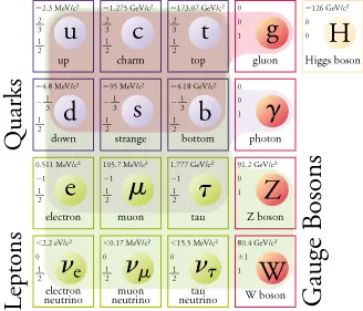 The sixteen boxes shown before are now shaded due to force. A red shade extends from the gluon and colors all purple quarks. A blue shade extends from the photon and colors all quarks and the first row of leptons (the electron, muon, and tau). A green shade extends from the Z and W bosons and colors all quarks and leptons. As the background colors overlap, the red shade appears brown, and the blue shade appears dark green.