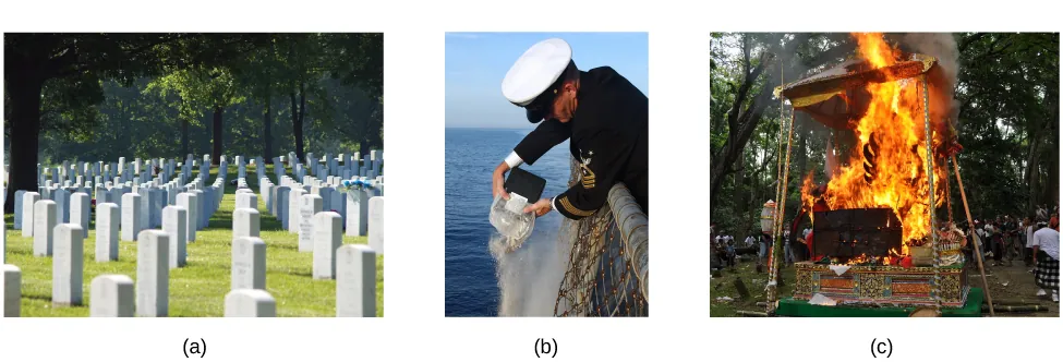 In figure a, a cemetery has many gravestones among the grass and trees. In Figure b, a Navy officer pours ashes into the sea. In figure c, people surround a decorated funeral pyre that is on fire.