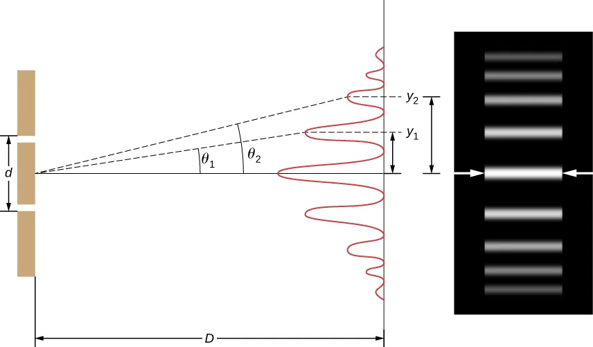 La imagen de la izquierda muestra una doble rendija situada a una distancia D de una pantalla, con la distancia entre las rendijas dada como d. La imagen de la derecha es una fotografía del patrón de franjas que muestra las líneas brillantes en las posiciones donde las ondas interfieren constructivamente.