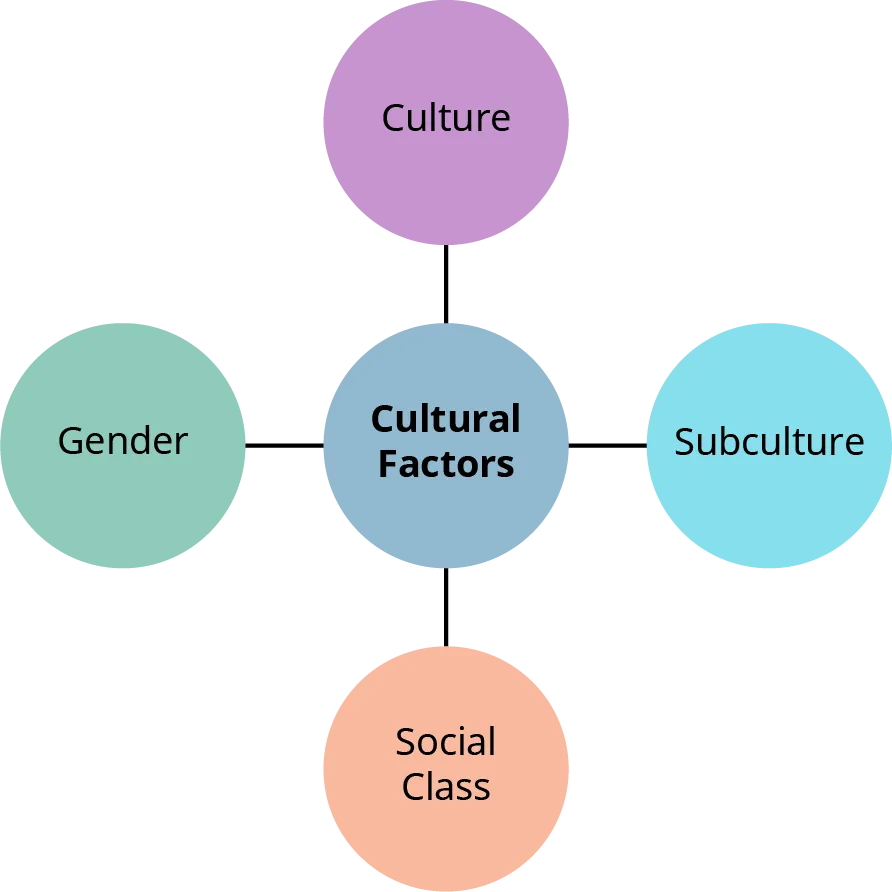 Cultural factors include culture, subculture, social class, and gender.
