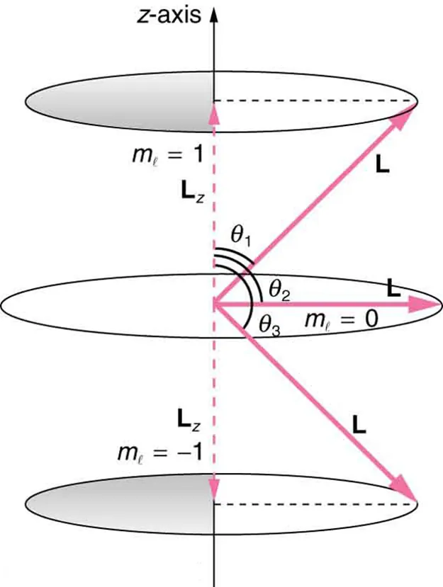 The image shows two possible values of component of a given angular momentum along z-axis. One circular orbit above the original circular orbit is shown for m sub l value of plus one. Another circular orbit below the original circular orbit is shown for m sub l value of minus one. The angular momentum vector for the top circular orbit makes an angle of theta sub one with the vertical axis. The horizontal angular momentum vector at original circular orbit makes an angle of theta sub two with the vertical axis. The angular momentum vector for the bottom circular orbit makes an angle of theta sub three with the vertical axis.