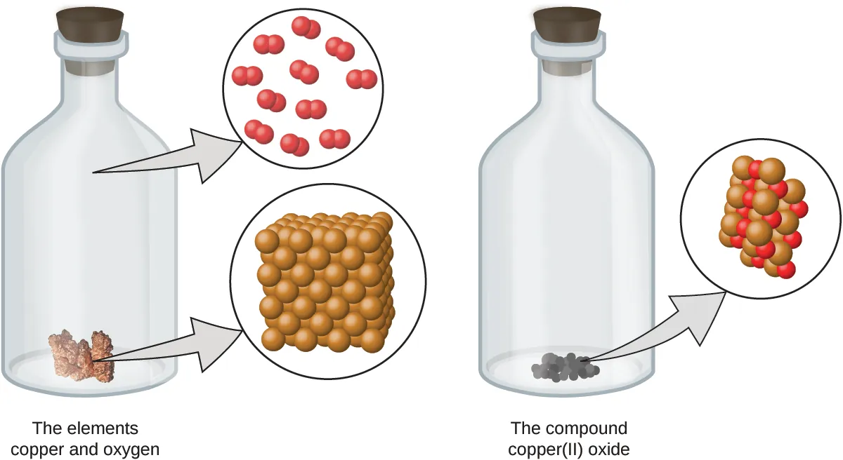The left stoppered bottle contains copper and oxygen. There is a callout which shows that copper is made up of many sphere-shaped atoms. The atoms are densely organized. The open space of the bottle contains oxygen gas, which is made up of bonded pairs of oxygen atoms that are evenly spaced. The right stoppered bottle shows the compound copper two oxide, which is a black, powdery substance. A callout from the powder shows a molecule of copper two oxide, which contains copper atoms that are clustered together with an equal number of oxygen atoms.