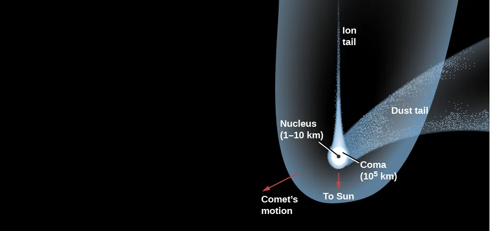 Diagram of a Typical Comet. Just below left of center, the “Nucleus (1-10 km)” is drawn as a black dot. Surrounding the nucleus is the “Coma (105 km)”, drawn in white. Surrounding the coma and extending vertically to the top of the image is the thin “Ion tail”, drawn in white. Beginning at the coma and curving away to the right is the wide “Dust tail”, drawn in semi-transparent white. Surrounding the comet and extending in the same direction as the ion tail is the “Hydrogen envelope (107 km)”, drawn in semi-transparent white. A red arrow points downward from the nucleus labeled “To Sun”. Finally, a red arrow points from the nucleus toward the lower left (opposite to the direction of the dust tail) and is labeled “Comet’s motion”.