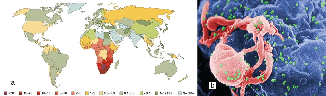 The top panel shows a color-coded world map. The bottom panel shows many viruses on a cell.