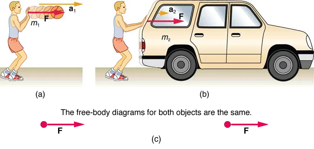 Figure a shows a person exerting force F on a basketball with mass m1. The ball is shown to move to the rigth with an acceleration a1. Figure b shows the person exerting the same amount of force, F on an SUV with mass m2. The acceleration is a2, which is much smaller than a1. Figure c shows the free body diagrams of both systems shown in figure a and figure b. Both show the force F having the same magnitude and direction. The label reads: the free-body diagrams of both objects are the same.