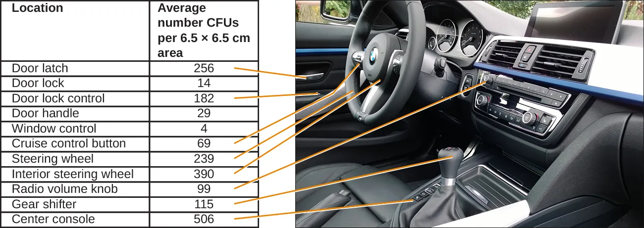 A photo of the inside of a car with a table identifying the average CFUs per 6.5 x 6.5 cm area.  Door latch – 256. Door lock – 14. Door lock control – 182. Door handle – 29. Window control – 4. Cruise control button – 69. Steering wheel – 239. Interior steering wheel – 390. Radio volume know – 99. Gear shifter – 115. Center console – 506.