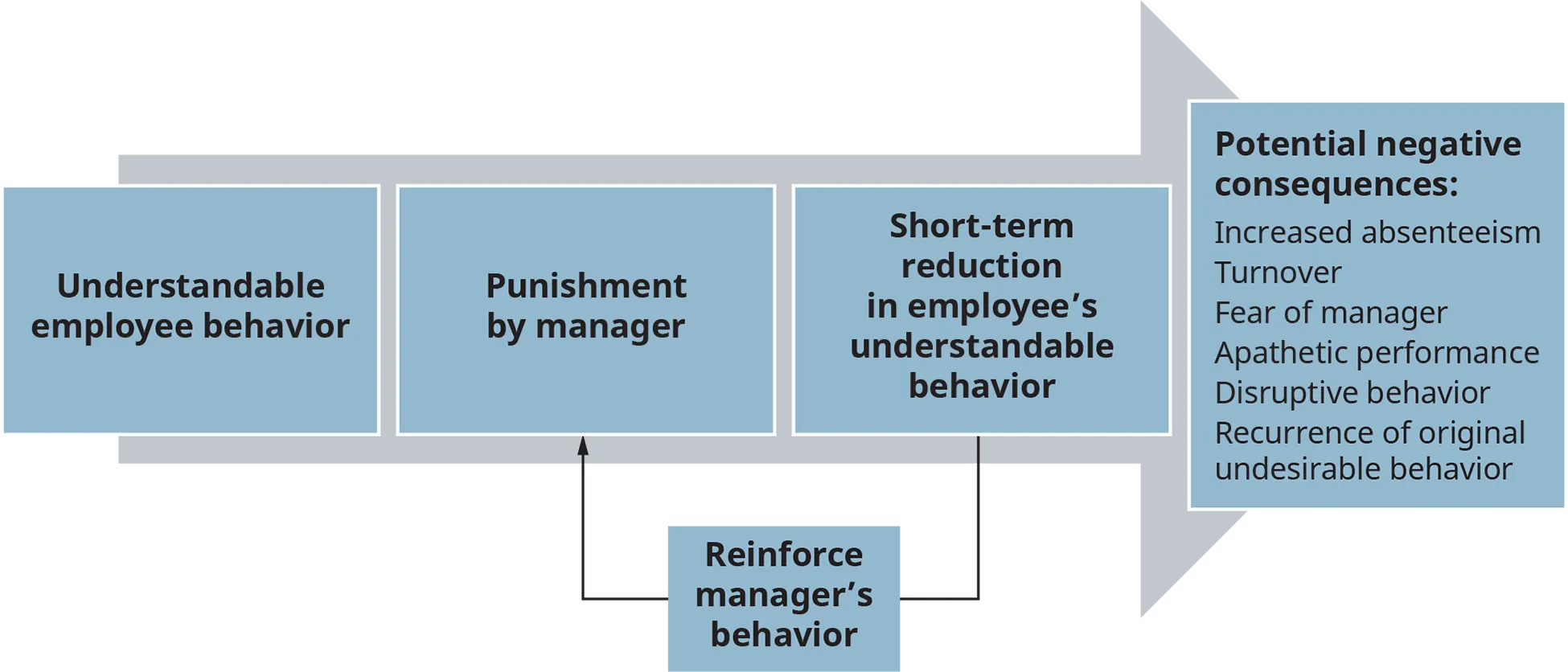  A diagram illustrates the factors affecting the potential negative consequences of punishment.