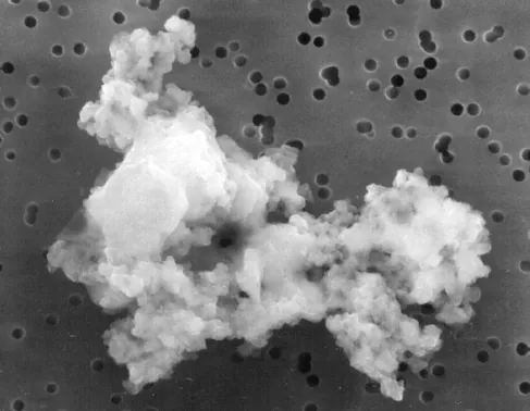 Photograph of a fragment of cometary dust.