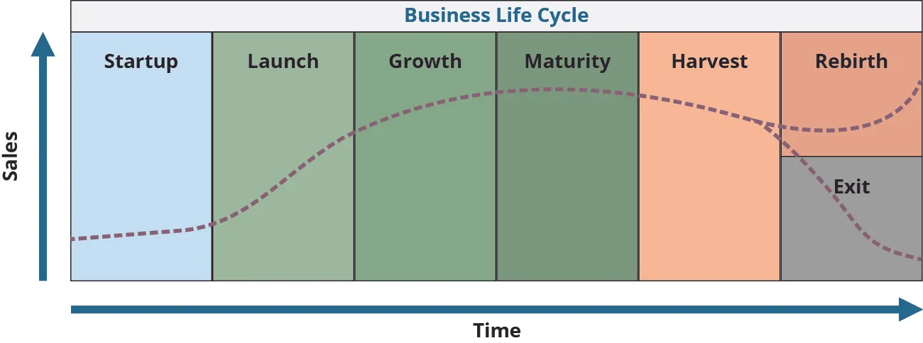 The Business Life Cycle moves from startup to launch to growth to maturity to harvest and then can either enter rebirth or death. A curved line shows this progression.