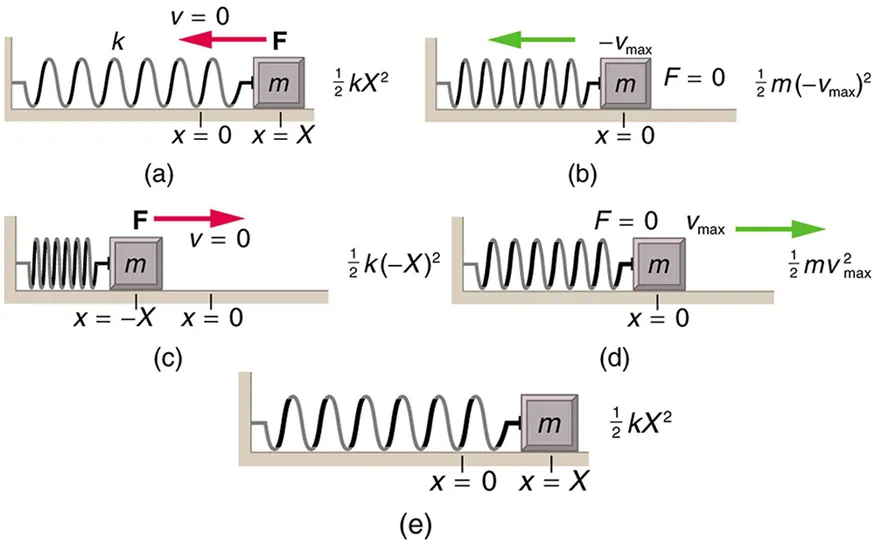 Figure a shows a spring on a frictionless surface attached to a bar or wall from the left side, and on the right side of it there’s an object attached to it with mass m, its amplitude is given by X, and x equal to zero at the equilibrium level. Force F is applied to it from the right side, shown with left direction pointed red arrow and velocity v is equal to zero. A direction point showing the north and west direction is also given alongside this figure as well as with other four figures. The energy given here for the object is given according to the velocity. In figure b, after the force has been applied, the object moves to the left compressing the spring a bit, and the displaced area of the object from its initial point is shown in sketched dots. F is equal to zero and the V is max in negative direction. The energy given here for the object is given according to the velocity. In figure c, the spring has been compressed to the maximum level, and the amplitude is negative x. Now the direction of force changes to the rightward direction, shown with right direction pointed red arrow and the velocity v zero. The energy given here for the object is given according to the velocity.                In figure d, the spring is shown released from the compressed level and the object has moved toward the right side up to the equilibrium level. F is zero, and the velocity v is maximum. The energy given here for the object is given according to the velocity.               In figure e, the spring has been stretched loose to the maximum level and the object has moved to the far right. Now again the velocity here is equal to zero and the direction of force again is to the left hand side, shown here as F is equal to zero. The energy given here for the object is given according to the velocity.               