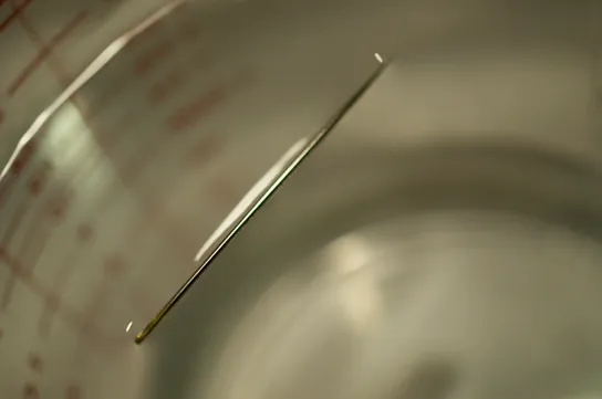 A photograph shows a needle floating at the surface of a glass of water. Though the needle floats, it appears to be slightly sinking below the surface.