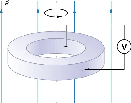 Rysunek przedstawia perspektywiczny widok grubego, poziomego pierścienia. Do wewnętrznej i zewnętrznej powierzchni pierścienia przylegają szczotki, które połączono z woltomierzem. Pierścień obraca się z prędkością kątową omega wokół osi, przechodzącej przez jego środek i prostopadłej do jego płaszczyzny. Kierunek obrotów pierścienia jest przeciwny do ruchu wskazówek zegara. Pierścień umieszczony jest w jednorodnym, pionowym polu magnetycznym o indukcji B, zwróconym ku górze rysunku.