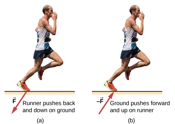 Figure a shows the picture of a runner, labeled, runner pushes back and down on ground.  An arrow labeled F from his foot points down and left. Figure b is labeled, ground pushes forward and up on runner. An arrow labeled –F points up and right, towards his foot.