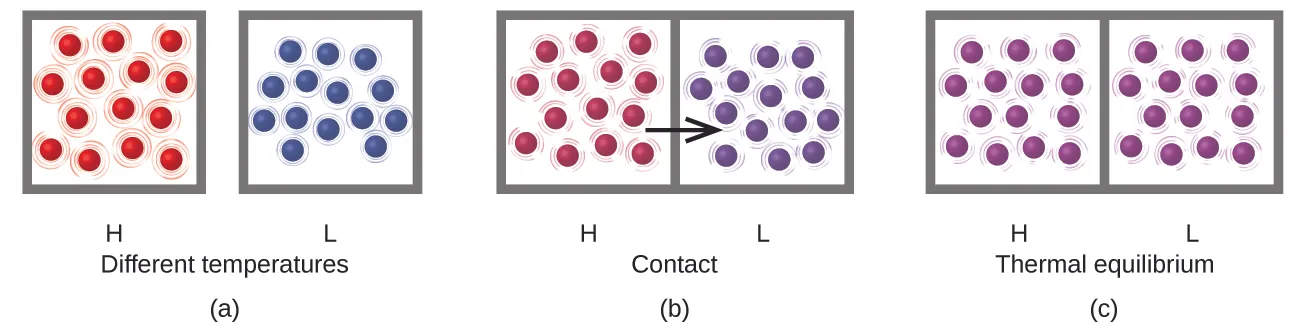 Three drawings are shown and labeled a, b, and c, respectively. The first drawing labeled a depicts two boxes, with a space in between and the pair is captioned “Different temperatures.” The left hand box is labeled H and holds fourteen well-spaced red spheres with lines drawn around them to indicate rapid motion. The right hand box is labeled L and depicts fourteen blue spheres that are closer together than the red spheres and have smaller lines around them showing less particle motion. The second drawing labeled b depicts two boxes that are touching one another. The left box is labeled H and contains fourteen maroon spheres that are spaced evenly apart. There are tiny lines around each sphere depicting particle movement. The right box is labeled L and holds fourteen purple spheres that are slightly closer together than the maroon spheres. There are also tiny lines around each sphere depicting particle movement. A black arrow points from the left box to the right box and the pair of diagrams is captioned “Contact.” The third drawing labeled c, is labeled “Thermal equilibrium.” There are two boxes shown in contact with one another. Both boxes contain fourteen purple spheres with small lines around them depicting moderate movement. The left box is labeled H and the right box is labeled L.