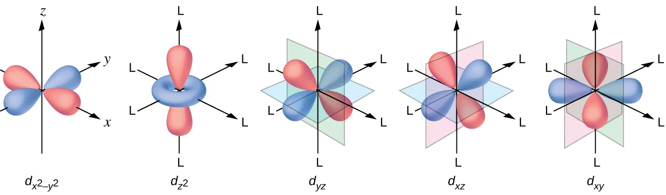 This figure includes diagrams of five d orbitals. Each diagram includes three axes. The z-axis is vertical and is denoted with an upward pointing arrow. It is labeled “z” in the first diagram. Arrows similarly identify the x-axis with an arrow pointing from the rear left to the right front, diagonally across the figure and the y-axis with an arrow pointing from the left front diagonally across the figure to the right rear of the diagram. These axes are similarly labeled as “x” and “y.” In this first diagram, four orange balloon-like shapes extend from a point at the origin out along the x- and y- axes in positive and negative directions covering just over half the length of the positive and negative x- and y- axes. Beneath the diagram is the label, “d subscript ( x superscript 2 minus y superscript 2 ).” The second diagram just right of the first is similar except the x, y, and z labels have been replaced in each instance with the letter L. Only a pair of the orange balloon-like shapes are present and extend from the origin above and below along the vertical axis. An orange toroidal or donut shape is positioned around the origin, oriented through the x- and y- axes. This shape extends out to about a third of the length of the positive and negative regions of the x- and y- axes. This diagram is labeled, “d subscript ( z superscript 2 ).” The third through fifth diagrams, similar to the first, show four orange balloon-like shapes. These diagrams differ however in the orientation of the shapes along the axes and the x-, y-, and z-axis labels have each been replaced with the letter L. Planes are added to the figures to help show the orientation differences with these diagrams. In the third diagram, a green plane is oriented vertically through the length of the x-axis and a blue plane is oriented horizontally through the length of the y-axis. The balloon shapes extend from the origin to the spaces between the positive z- and negative y- axes, positive z- and positive y- axes, negative z- and negative y- axes, and negative z- and positive y- axes. This diagram is labeled, “d subscript ( y z ).” In the fourth diagram, a green plane is oriented vertically through the x- and y- axes and a blue plane is oriented horizontally through the length of the x-axis. The balloon shapes extend from the origin to the spaces between the positive z- and negative x- axes, positive z- and positive x- axes, negative z- and negative x- axes, and negative z- and positive x- axes. This diagram is labeled “d subscript ( x z ).” In the fifth diagram, a pink plane is oriented vertically through the length of the y-axis and a green plane is oriented vertically through the length of the x-axis. The balloon shapes extend from the origin to the spaces between the positive x- and negative y- axes, positive x- and positive y- axes, negative x- and negative y- axes, and negative x- and positive y- axes. This diagram is labeled, “d subscript ( x y ).”