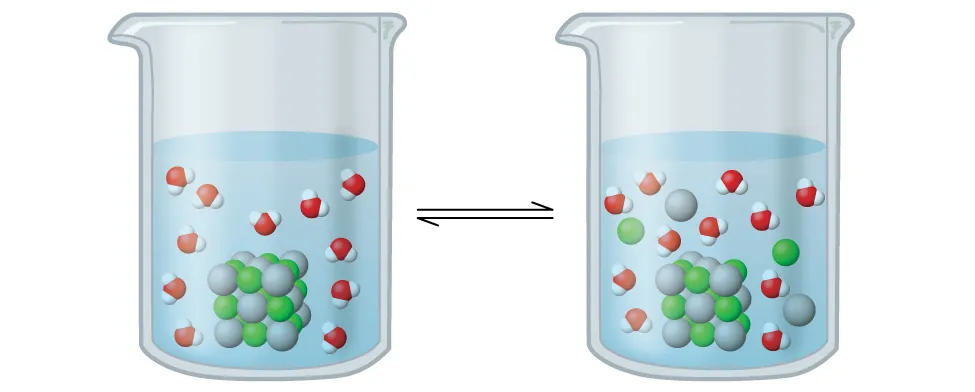 Two beakers are shown with a bidirectional arrow between them. Both beakers are just over half filled with a clear, colorless liquid. The beaker on the left shows a cubic structure composed of alternating green and slightly larger grey spheres. Evenly distributed in the region outside, 11 space filling models are shown. These are each composed of a central red sphere with two smaller white spheres attached in a bent arrangement. In the beaker on the right, the green and grey spheres are no longer connected in a cubic structure. Nine green spheres, 10 grey spheres, and 11 red and white molecules are evenly mixed and distributed throughout the liquid in the beaker.