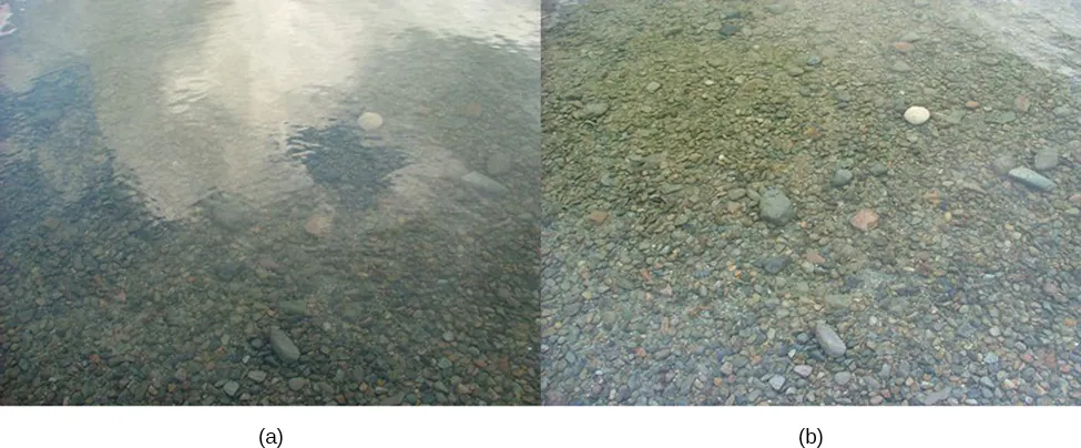 The figure has two photographs of the same part of a river. In figure a, the clouds and sky are reflected in the water, making it hard to see the stones at the bottom of the river. In figure b, the reflection of the sky is absent and the bottom of the river can be seen more clearly.