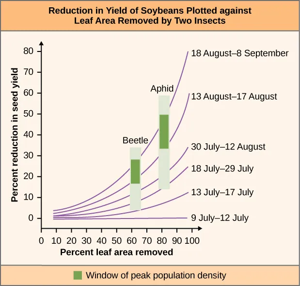 Chart is called “Reduction in Yield of Soybeans Plotted against Leaf Area Removed by Two Insects”. The vertical axis of the chart is labeled “Percent reduction in seed yield” and ranges from 0 to 80 in increments of 10. The horizontal axis is labeled “Percent leaf area removed”. Six sets of date lines cross the graph. 9 July-12 July runs from 10 percent leaf area removed and 0 percent reduction in seed yield to 100 percent leaf area removed while staying at 0 percent reduction in seed yield. 13 July- 17 July runs from 10 leaf area, 0 seed yield to 100 leaf area, 10 seed yield. 18 July-29 July runs from 10 leaf area, 0 seed yield to 100 leaf area, 25 seed yield. 30 July – 12 August runs from 10 leaf area, 0 seed yield to 100 leaf area, 35 seed yield. 13 August-17 August runs from 10 leaf area, 0 seed yield to 100 leaf area 60 seed yield. 18 August – 8 September runs from 10 leaf area, 0 seed yield to 100 leaf area, 80 seed yield. A bar labeled beetle runs from between 60-70% leaf area removed and from between 5-35% reduction in seed yield with the window of peak population density lying between 20-30%. A bar labeled aphid runs from between 80-90% leaf area removed and from between 15-60% reduction in seed yield with the window of peak population density lying between 35-50%.