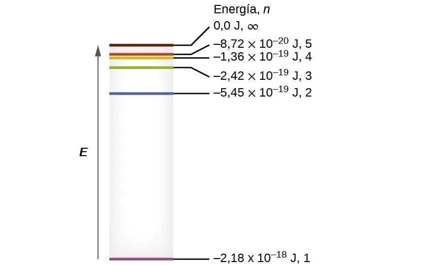 La figura incluye un diagrama que representa los niveles de energía relativos de los números cuánticos del átomo de hidrógeno. Una flecha que apunta hacia arriba a la izquierda del diagrama está etiquetada como "E". Justo a la derecha de la flecha se ha colocado un rectángulo sombreado de color gris orientado verticalmente. La altura del rectángulo coincide con la longitud de la flecha. Los segmentos de líneas horizontales de colores se colocan dentro del rectángulo y las etiquetas se colocan a la derecha de la caja y se disponen en una columna con el título "Energía, n". En la base del rectángulo se dibuja un segmento de línea horizontal de color púrpura. Un segmento de línea negra se extiende a la derecha hasta la etiqueta, "negativo 2,18 veces 10 superíndice negativo 18 J, 1". A un nivel de aproximadamente tres cuartos de la distancia a la parte superior del rectángulo, se dibuja un segmento de línea horizontal azul. Un segmento de línea negra se extiende a la derecha hasta la etiqueta, "negativo 5,45 veces 10 superíndice negativo 19 J, 2". A un nivel de aproximadamente siete octavos de distancia de la base del rectángulo, se dibuja un segmento de línea horizontal verde. Un segmento de línea negra se extiende a la derecha hasta la etiqueta, "negativo 2,42 veces 10 superíndice negativo 19 J, 3". A poca distancia por encima de este segmento, se dibuja un segmento de línea horizontal naranja. Un segmento de línea negra se extiende a la derecha hasta la etiqueta, "negativo 1,36 veces 10 superíndice negativo 19 J, 4". Justo encima de este segmento, se dibuja un segmento de línea horizontal roja. Un segmento de línea negra se extiende a la derecha hasta la etiqueta, "negativo 8,72 veces 10 superíndice negativo 20 J, 5". A poca distancia por encima de este segmento, se dibuja un segmento de línea horizontal marrón. Un segmento de línea negra se extiende a la derecha hasta la etiqueta "0,00 J, infinito".