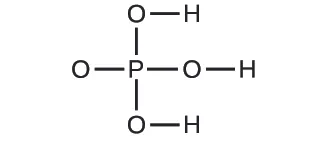 La figura D muestra un diagrama estructural de un átomo de fósforo que forma un enlace simple con cuatro átomos de oxígeno cada uno. Tres de los átomos de oxígeno tienen cada uno un enlace simple con un átomo de hidrógeno.