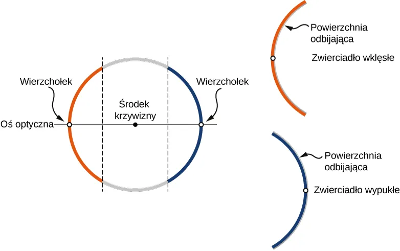 Figura przedstawia koło, przedzielone dwoma równoległymi liniami, tworzącymi dwa łuki, pomarańczowy i niebieski. Linia podpisana jako oś optyczna biegnie przez środek koła i środki obu łuków. Każdy z środków łuków jest opisany jako wierzchołek. Figura b pokazuje pomarańczowy łuk, opisany jako zwierciadło wklęsłe, posiadające dwie powierzchnie odbijające wewnątrz koła. Figura c pokazuje niebieski łuk, opisany jako zwierciadło wypukłe o powierzchniach odbijających leżących na zewnątrz koła.