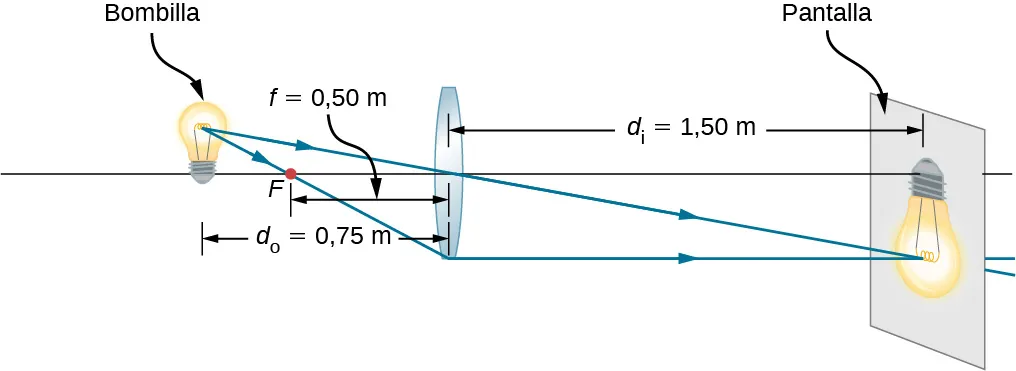 La figura muestra una lente biconvexa con una distancia focal de 0,5 metros y una bombilla colocada a 0,75 metros delante de ella. Se forma una imagen invertida de la bombilla en una pantalla situada a 1,5 metros detrás de la lente.