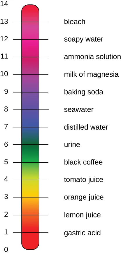 A pH scale is numbered from 0 to 14, with examples of liquids for numbers 1 through 13: 1 is gastric acid, 2 is lemon juice, 3 is orange juice, 4 is tomato juice, 5 is black coffee, 6 is urine, 7 is distilled water, 8 is seawater, 9 is baking soda, 10 is milk of magnesia, 11 is ammonia solution, 12 is soapy water, and 13 is bleach.