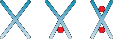 The figure shows three X-shaped structures. The structure on the left is just the X. The structure in the middle is an X with a red ball wedged in the middle of the two lowermost diagonal lines that form the X. The image on the right has two red balls – one wedged in the middle of the two lines in the upper half of the X and one wedged in the middle of the two diagonal lines in the lower half of the X.