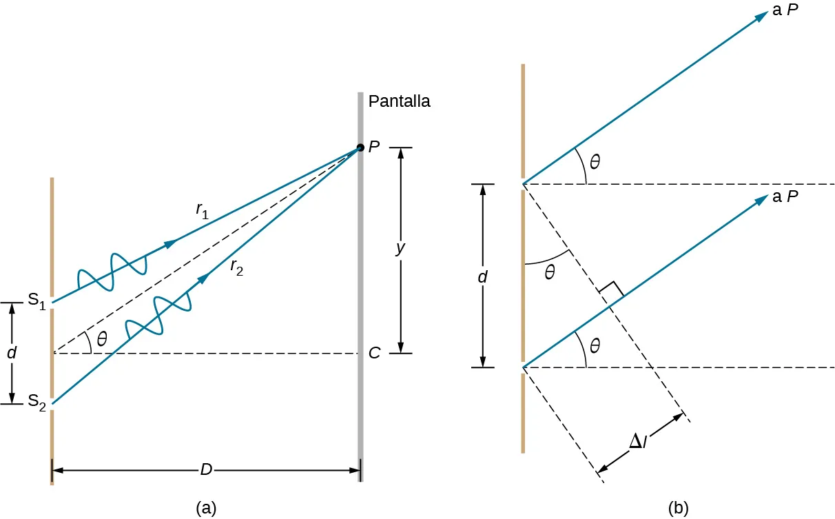 La imagen de la izquierda es un dibujo esquemático que muestra las ondas r1 y r2 pasando por las dos rendijas S1 y S2. Las ondas se encuentran en un punto común P en una pantalla. La distancia entre los puntos S1 y S2 es d; la distancia entre la pantalla con las dos rendijas y la pantalla con el punto P es D. El punto P está más alto que el punto medio entre S1 y S2 por la distancia y. La línea imaginaria trazada desde el punto P hasta el punto medio entre las rendijas forma un ángulo theta con el eje x. La imagen de la derecha es un dibujo esquemático de dos rendijas separadas por la distancia d. Las ondas pasan a través de las rendijas y viajan hasta la pantalla P. El ángulo theta está formado por la onda viajera y el eje x.