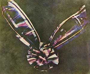 Photograph of a tartan ribbon tied like a bow.