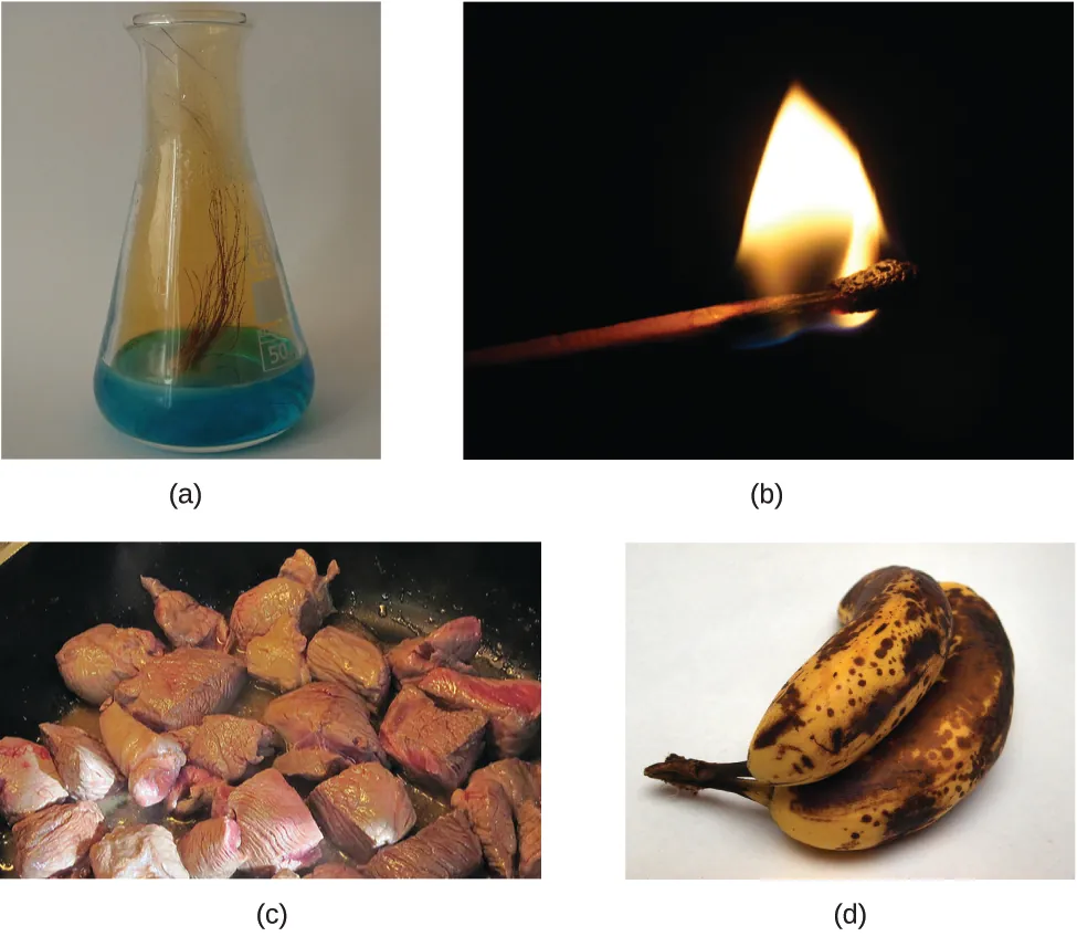 Figure A is a photo of the flask containing a blue liquid. Several strands of brownish copper are immersed into the blue liquid. There is a brownish gas rising from the liquid and filling the upper part of the flask. Figure B shows a burning match. Figure C shows red meat being cooked in a pan. Figure D shows a small bunch of yellow bananas that have many black spots.