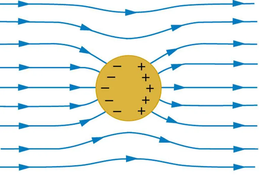 A spherical conductor is placed in the external electric field. The field lines are shown running from left to right. The field lines enter and leave the conductor at right angles. Negative charges accumulate on the left surface of the conductor and positive charges accumulate on the right surface of the conductor.