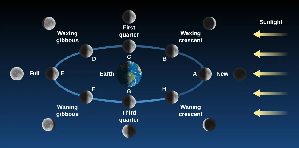 Phases of the Moon. The Earth is drawn as the center of a blue ellipse representing the Moon’s orbit. At right, yellow arrows labeled “Sunlight” point toward the Earth and Moon. The Moon is drawn in eight positions along its orbit, along with an illustration of the Moon as it would appear to an observer on Earth. At position “A” at far right, the Moon is between the Earth and Sun. At that point the Moon is “New”. At position “B” at upper right, the observer would see a “Waxing crescent”. At position “C” at top center, the observer would see “First quarter”. At position “D” at upper left, the observer would see the “Waxing gibbous” phase. At position “E”, the Earth is now between the Sun and Moon, and an observer would see a “Full” Moon. At position “F” at lower left, the observer would see the “Waning gibbous” phase. At position “G” at bottom center, an observer would see the “Third quarter” Moon. Finally, at position “H” at lower right, the observer would see the “Waning crescent” Moon.
