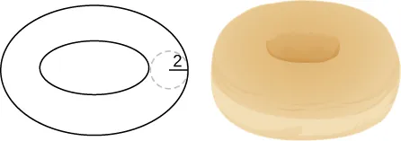 Esta figura tiene dos imágenes. La primera tiene dos elipses, un dentro de la otra. El radio de la trayectoria entre ellas es de 2 unidades. El segundo es una rosquilla.