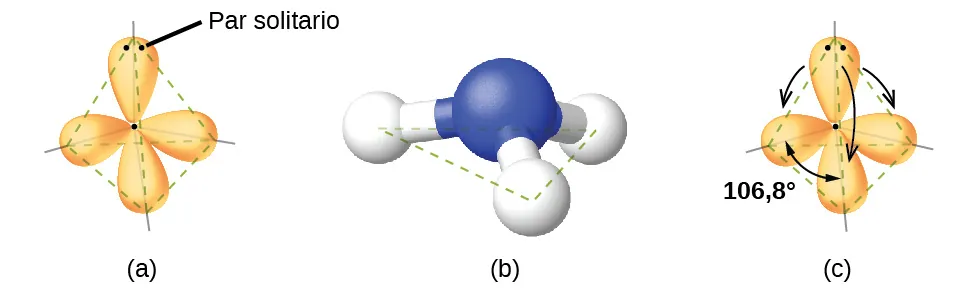 Se muestran tres imágenes marcadas como "a", "b" y "c". La imagen a muestra un átomo de nitrógeno unido con enlace simple a tres átomos de hidrógeno. Hay cuatro orbes de forma ovalada que rodean a cada hidrógeno y uno se aleja del resto de la molécula. Estos orbes se encuentran en una disposición tetraédrica. La imagen b muestra un modelo de bola y palo del nitrógeno unido a los tres átomos de hidrógeno. La imagen c es la misma que la imagen a, pero hay cuatro flechas curvas de doble cabeza que rodean la molécula y están marcadas como "106,8 grados".