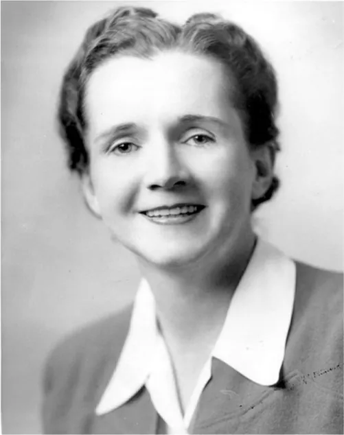 A black and white headshot photo of a woman is shown on a gray background. She is smiling, has short wavy hair, almond shaped eyes, and a pointy nose. She is wearing a white pointy collared shirt and gray jacket with no trim.