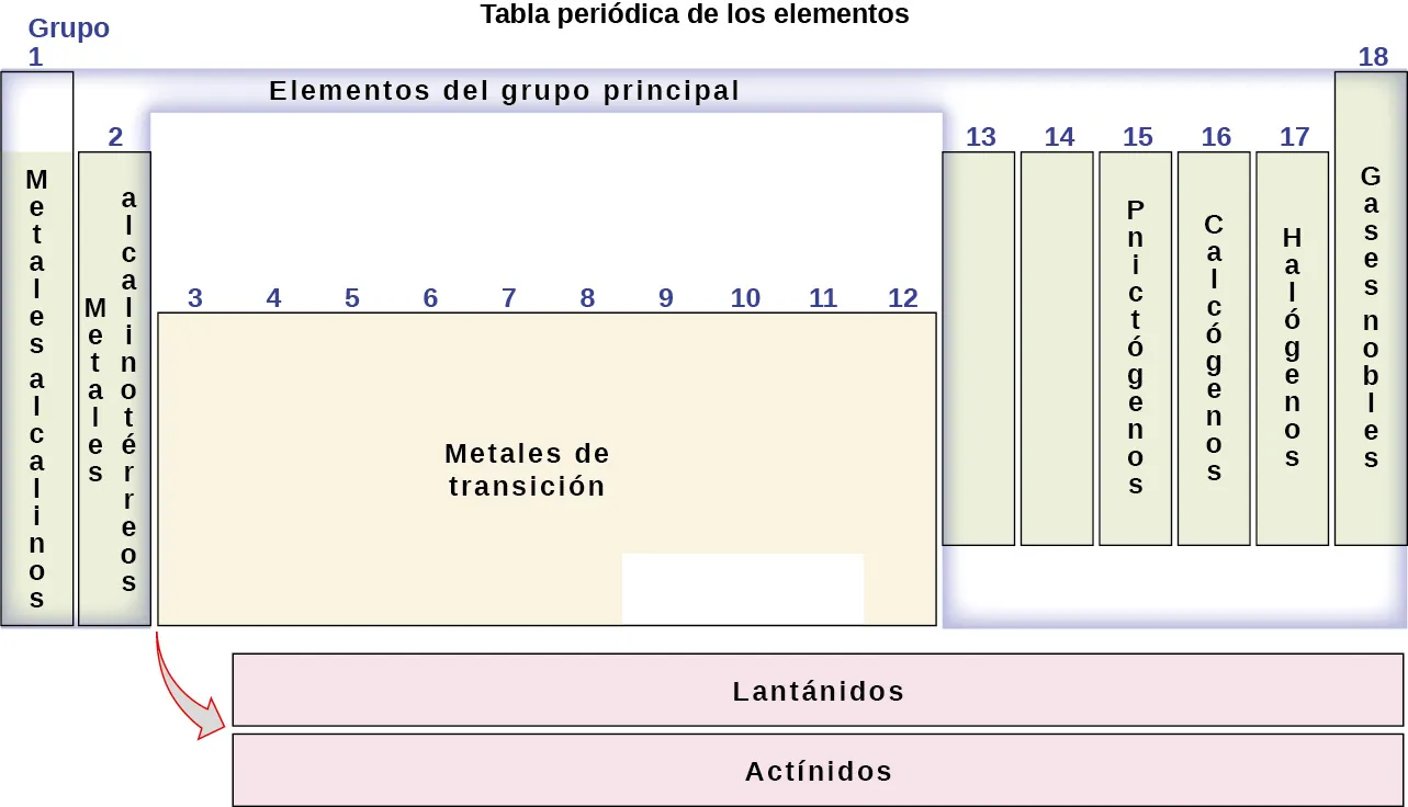 Este diagrama combina los grupos y periodos de la tabla periódica en función de sus propiedades similares. El grupo 1 contiene los metales alcalinos, el grupo 2 contiene los metales alcalinos terrestres, el grupo 15 contiene los pnictógenos, el grupo 16 contiene los calcógenos, el grupo 17 contiene los halógenos y el grupo 18 contiene los gases nobles. Los elementos del grupo principal son los grupos 1, 2 y 12 al 18. Por lo tanto, la mayoría de los metales de transición, que se encuentran en los grupos 3 a 11, no son elementos del grupo principal. Los lantánidos y los actínidos se denominan en la parte inferior de la tabla periódica.