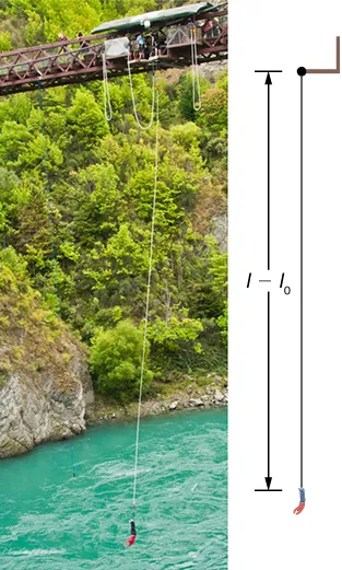 A photograph of a person bungee jumping from a bridge above a river is accompanied by an illustration of the situation. The illustration shows the jumper at the his lowest position, and the bungee stretched by a distance l minus l sub zero.