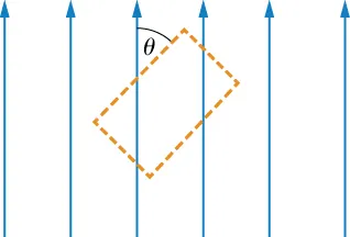 Rysunek przedstawia pętlę Ampera umieszczoną w stałym polu magnetycznym. Jeden z boków pętli tworzy z linią magnetyczną kąt theta.