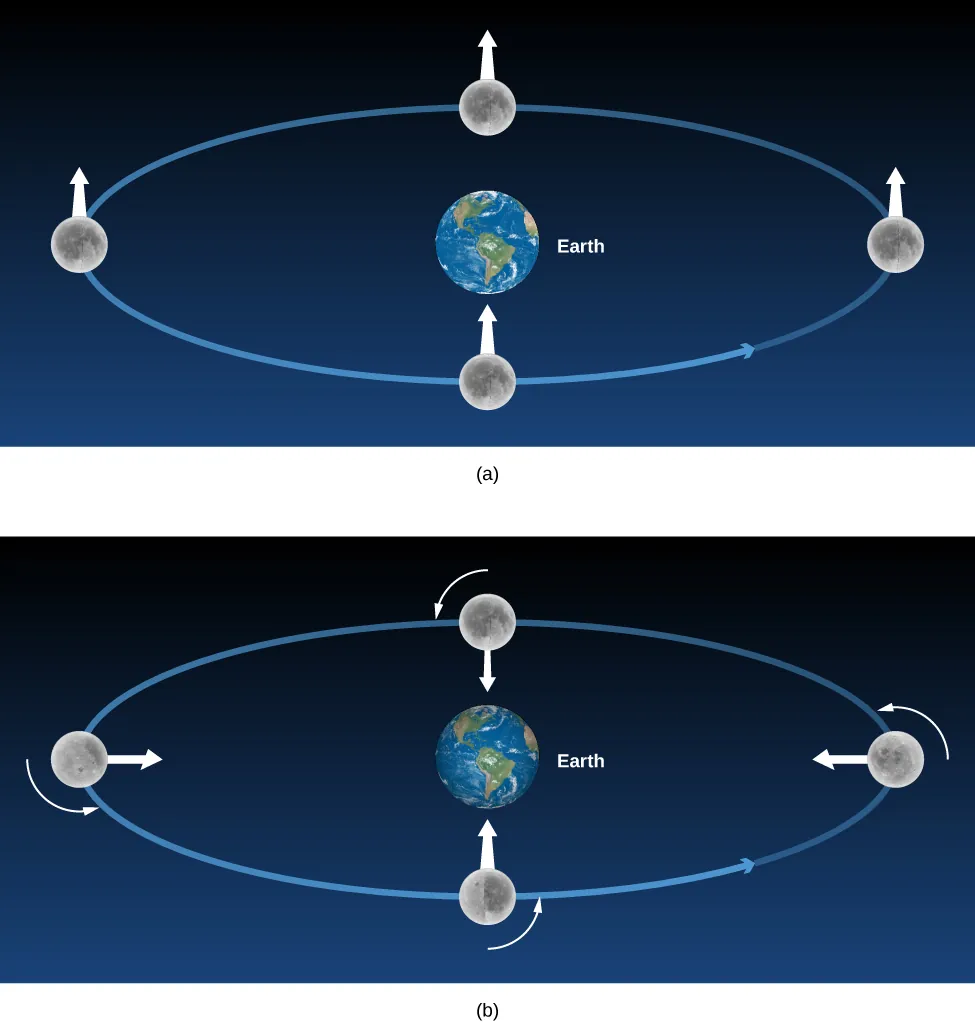 The Moon without and with Rotation. In panel (a), at top, the Earth is drawn at the center of a blue ellipse representing the orbit of the Moon. The Moon is shown at four positions along its orbit far right, top center, far left and bottom center. Each image of the Moon has a white arrow pointing upward. In (b), at bottom, the Earth is drawn at the center of a blue ellipse representing the orbit of the Moon. The Moon is shown at four positions along its orbit far right, top center, far left and bottom center. A short counter-clockwise arrow is drawn ¼ away around each Moon image indicating its rotation. In contrast to panel (a), the white arrows on the Moon each now point toward the Earth.
